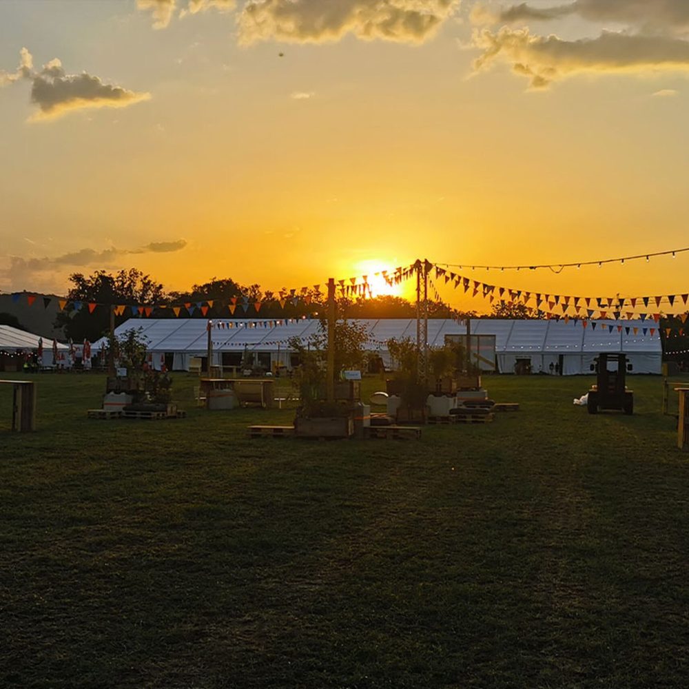 img_20220615_205758-web.jpg__1500x1000.0_q85_HIGH_RESOLUTION_crop-smart_subsampling-2_upscale@2x