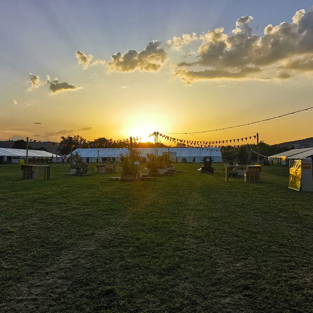 img_20220615_205800-web.jpg__1500x1000.0_q85_HIGH_RESOLUTION_crop-smart_subsampling-2_upscale@2x